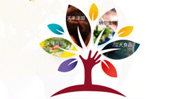 產(chǎn)業(yè)布局