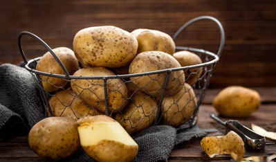 新《種子法》權(quán)威解讀:著力構(gòu)建現(xiàn)代種業(yè)制度